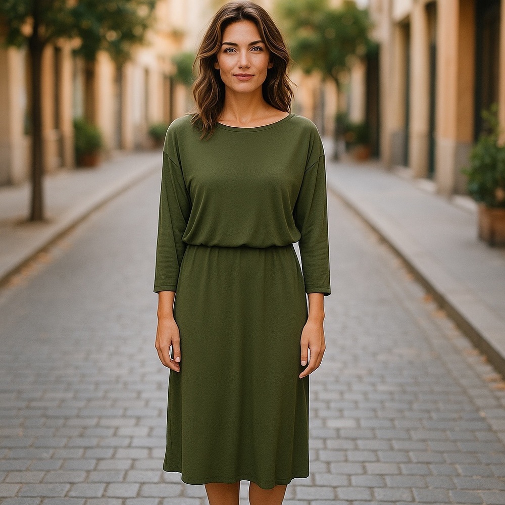 Ann Taylor Wool Blend Midi Dress size 6